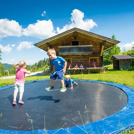 Chalet Steinwandalm